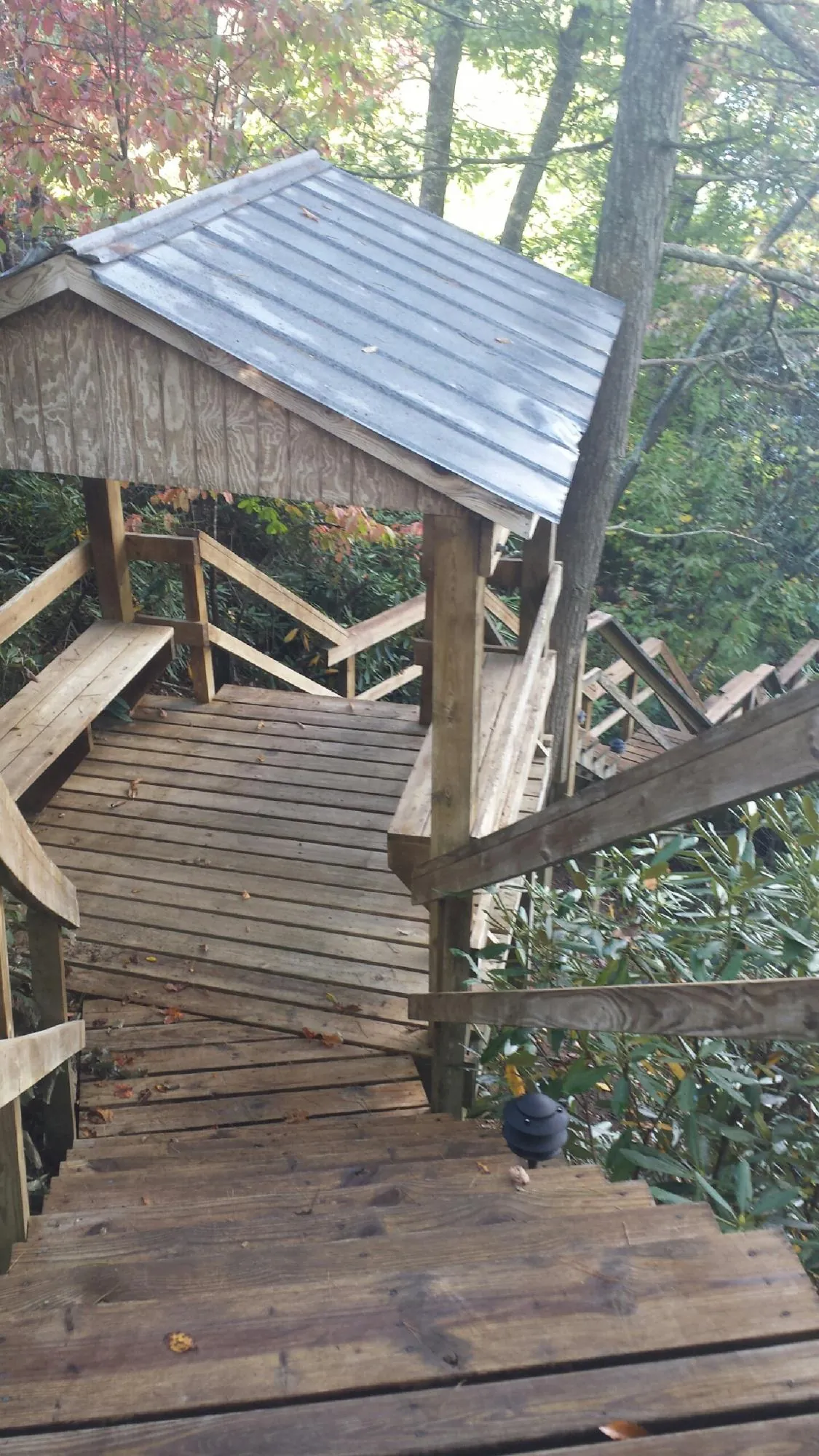 Metal roofed shelter over wooden steps on a wooded walkway — Skylight Repair & Installation work by our crew in Gibbon Glade