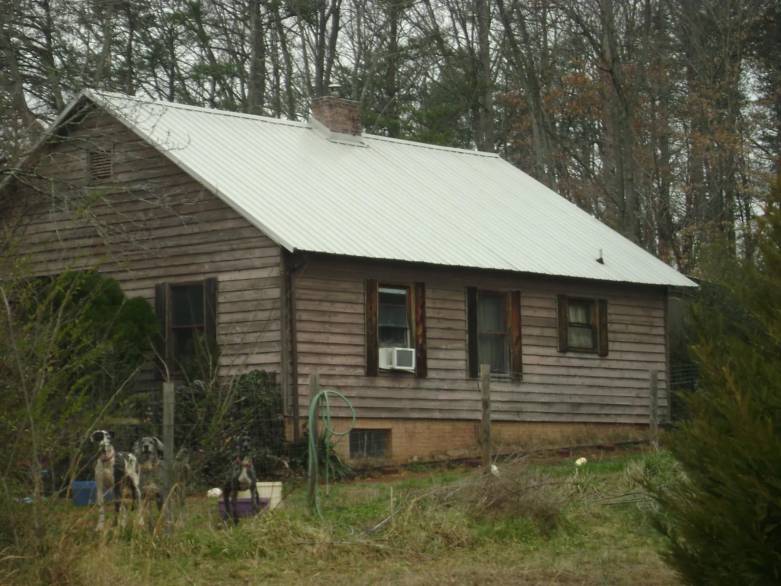 White metal roof on an old wood sided farmhouse, from a Asphalt Shingle Roof Repair job in Gibbon Glade
